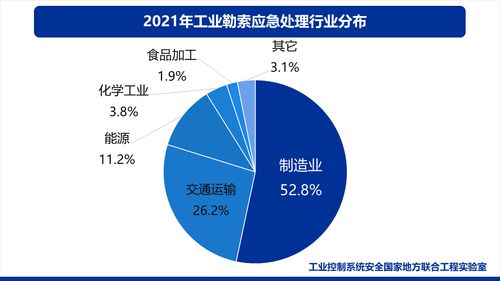 工業(yè)互聯(lián)網(wǎng)安全發(fā)展與實踐分析報告 聚焦數(shù)據(jù)服務(wù)